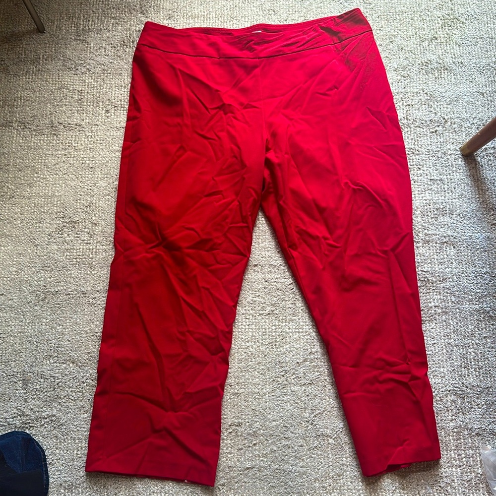 don’t mind the wrinkles! Red work pants